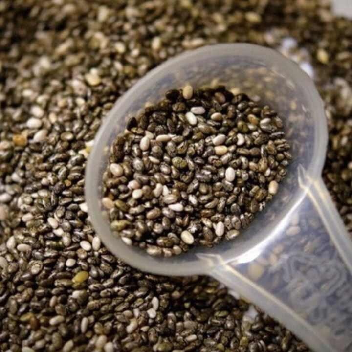 차이씨드 부작용